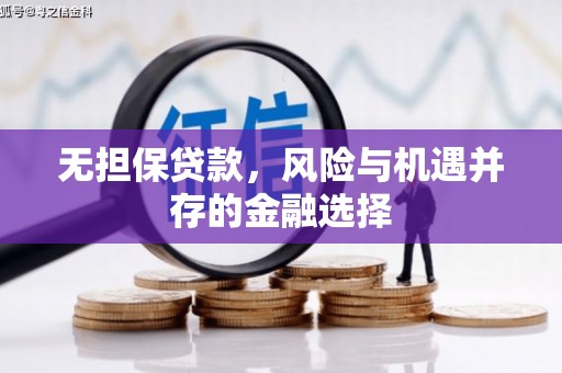 南化无担保贷款，风险与机遇并存的金融选择