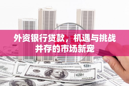 南化外资银行贷款，机遇与挑战并存的市场新宠