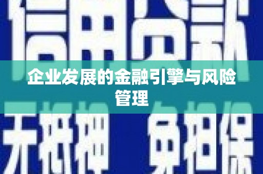 南化企业发展的金融引擎与风险管理