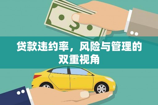 南化贷款违约率，风险与管理的双重视角