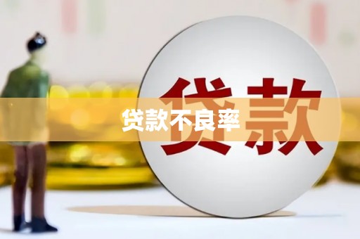 南化贷款不良率
