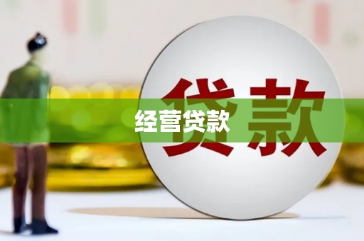 南化经营贷款