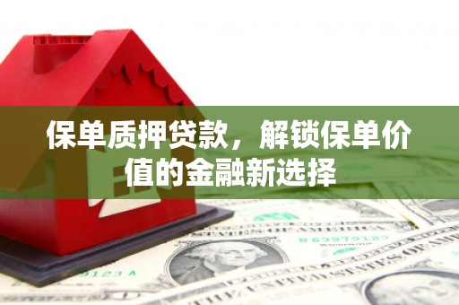 南化保单质押贷款，解锁保单价值的金融新选择