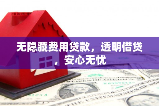 南化无隐藏费用贷款，透明借贷，安心无忧