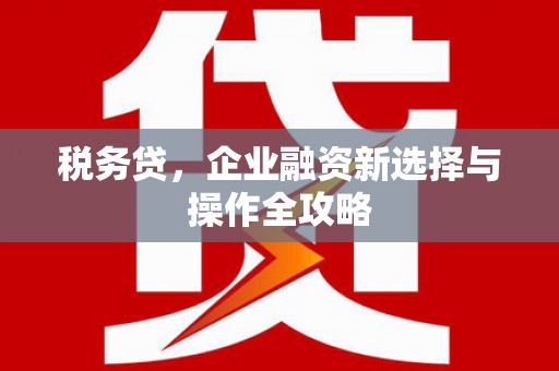 南化税务贷，企业融资新选择与操作全攻略