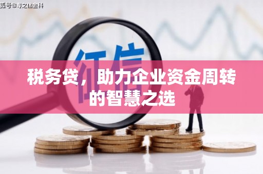 南化税务贷，助力企业资金周转的智慧之选