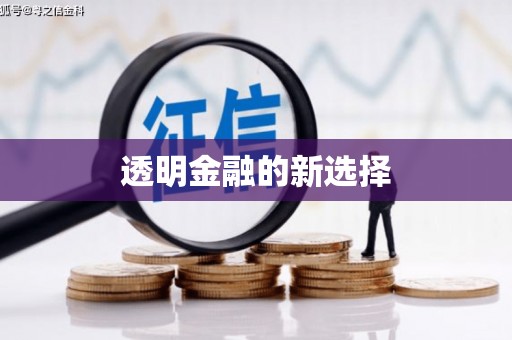 南化透明金融的新选择