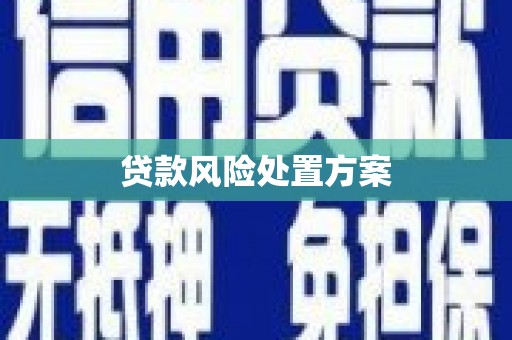 南化贷款风险处置方案