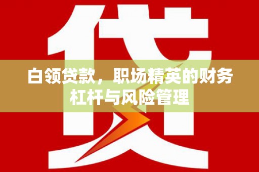 南化白领贷款，职场精英的财务杠杆与风险管理