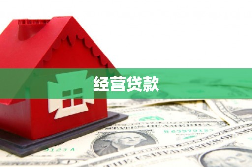 南化经营贷款