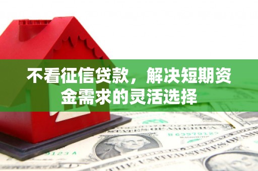 南化不看征信贷款，解决短期资金需求的灵活选择