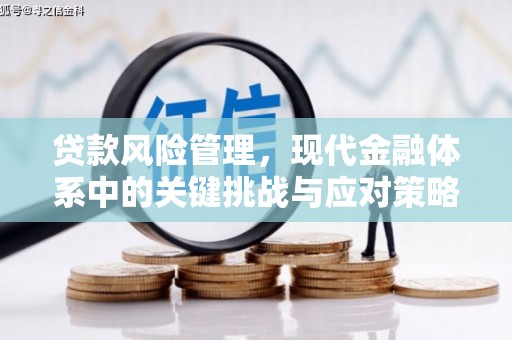 南化贷款风险管理，现代金融体系中的关键挑战与应对策略