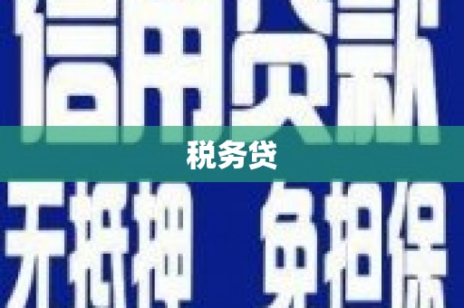 南化税务贷