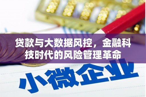 南化贷款与大数据风控，金融科技时代的风险管理革命