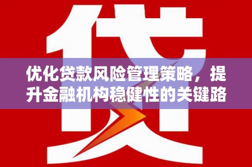 南化优化贷款风险管理策略，提升金融机构稳健性的关键路径