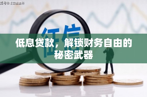 南化低息贷款，解锁财务自由的秘密武器
