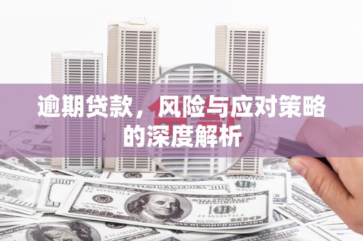 南化逾期贷款，风险与应对策略的深度解析