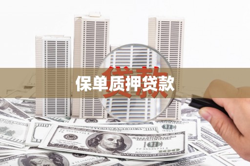 南化保单质押贷款