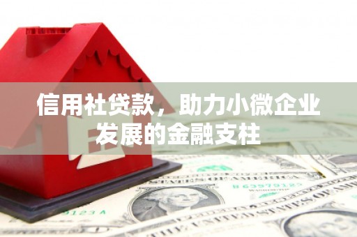 南化信用社贷款，助力小微企业发展的金融支柱