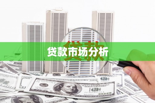 南化贷款市场分析