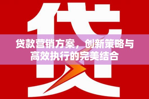 南化贷款营销方案，创新策略与高效执行的完美结合