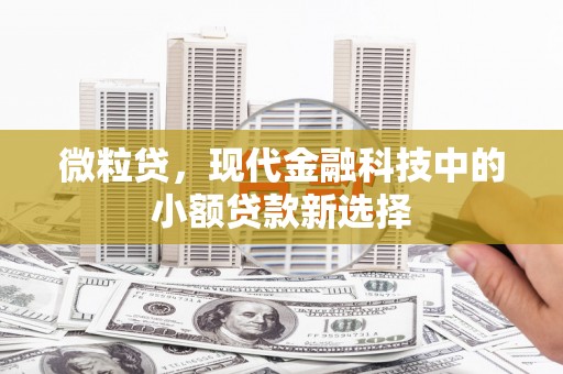 南化微粒贷，现代金融科技中的小额贷款新选择