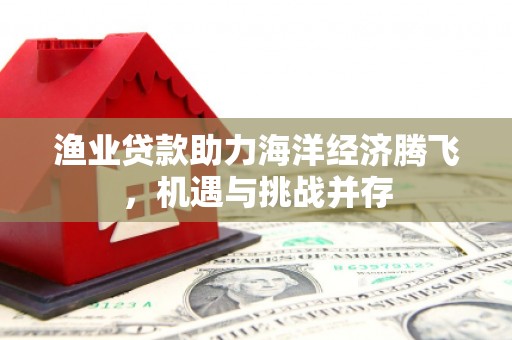 南化渔业贷款助力海洋经济腾飞，机遇与挑战并存