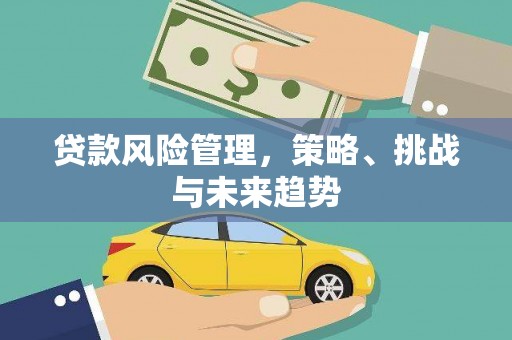 南化贷款风险管理，策略、挑战与未来趋势