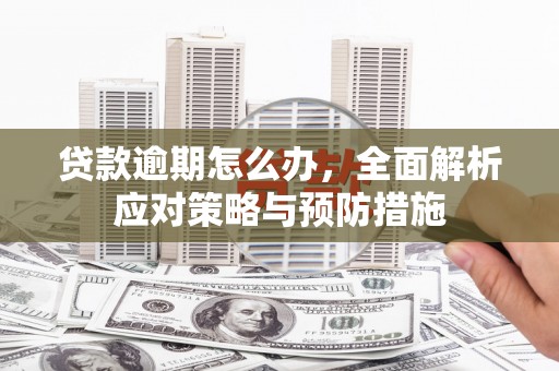 南化贷款逾期怎么办，全面解析应对策略与预防措施