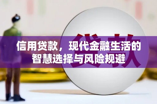 南化信用贷款，现代金融生活的智慧选择与风险规避