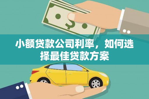 南化小额贷款公司利率，如何选择最佳贷款方案