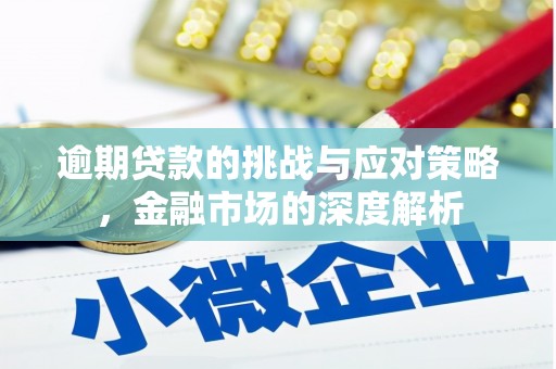 南化逾期贷款的挑战与应对策略，金融市场的深度解析