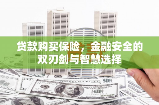 南化贷款购买保险，金融安全的双刃剑与智慧选择