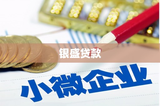 南化银盛贷款