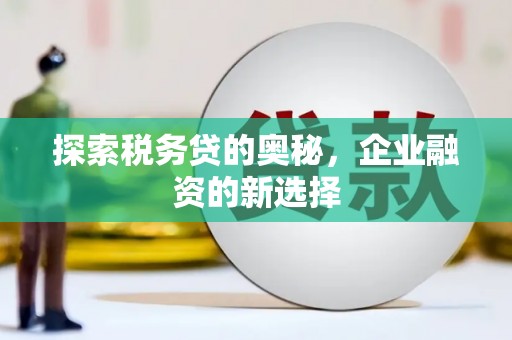 南化探索税务贷的奥秘，企业融资的新选择