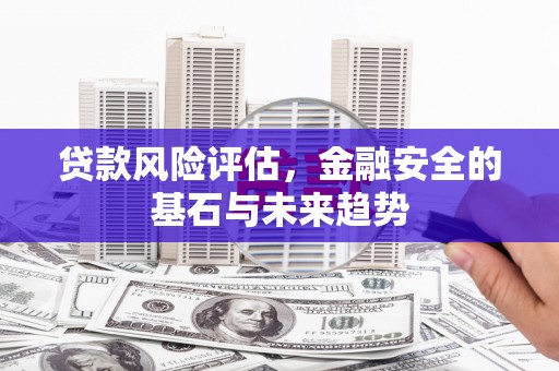 南化贷款风险评估，金融安全的基石与未来趋势