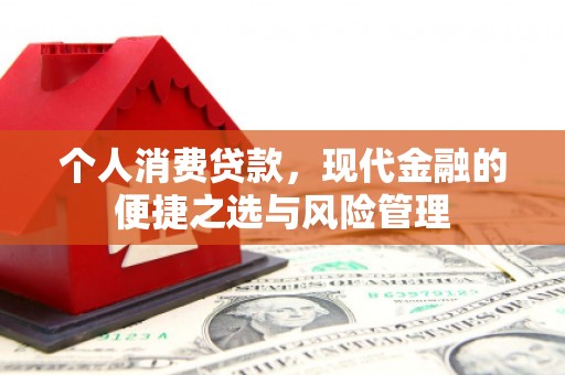 南化个人消费贷款，现代金融的便捷之选与风险管理