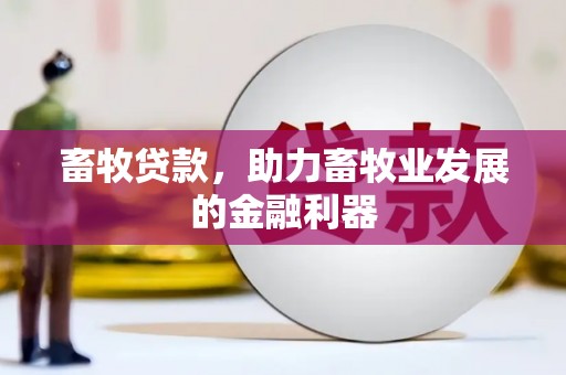 南化畜牧贷款，助力畜牧业发展的金融利器
