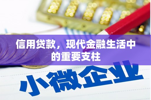 南化信用贷款，现代金融生活中的重要支柱