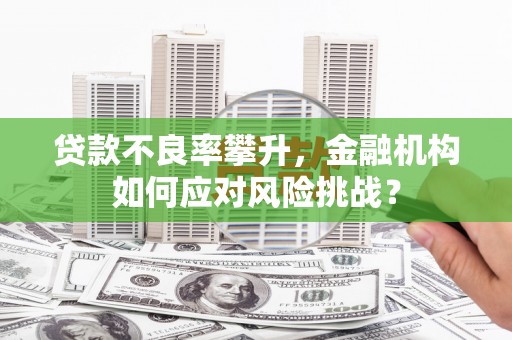 南化贷款不良率攀升，金融机构如何应对风险挑战？