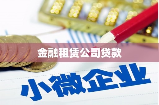 南化金融租赁公司贷款