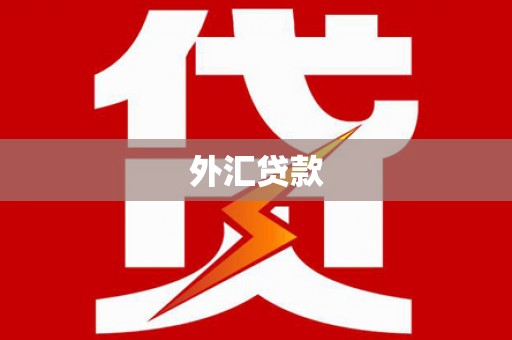 南化外汇贷款