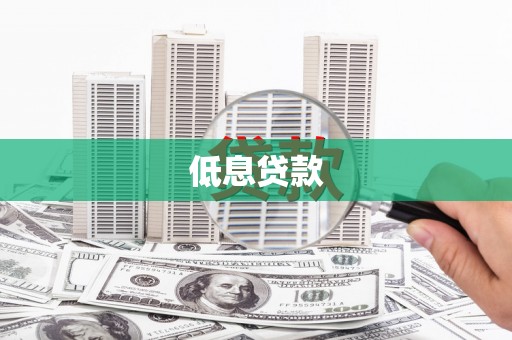 南化低息贷款