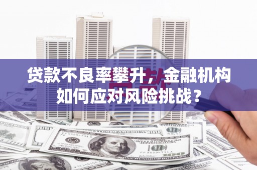 南化贷款不良率攀升，金融机构如何应对风险挑战？