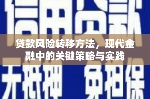 南化贷款风险转移方法，现代金融中的关键策略与实践