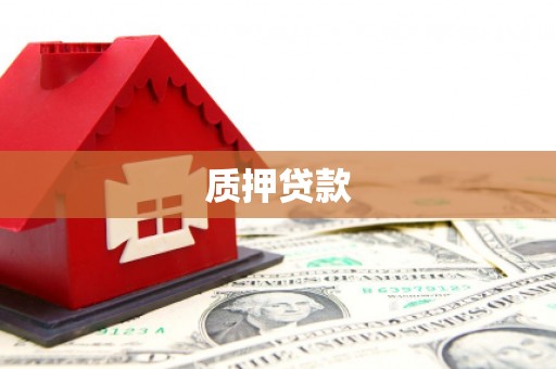 南化质押贷款