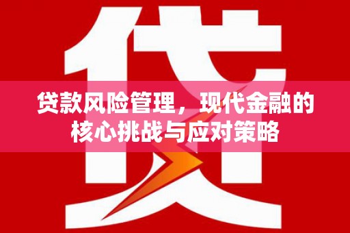 南化贷款风险管理，现代金融的核心挑战与应对策略
