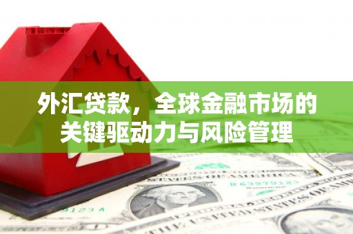 南化外汇贷款，全球金融市场的关键驱动力与风险管理