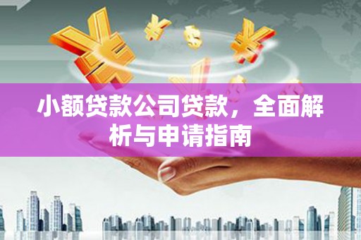 南化小额贷款公司贷款，全面解析与申请指南