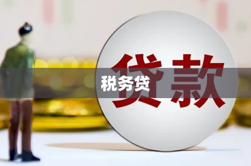 南化税务贷
